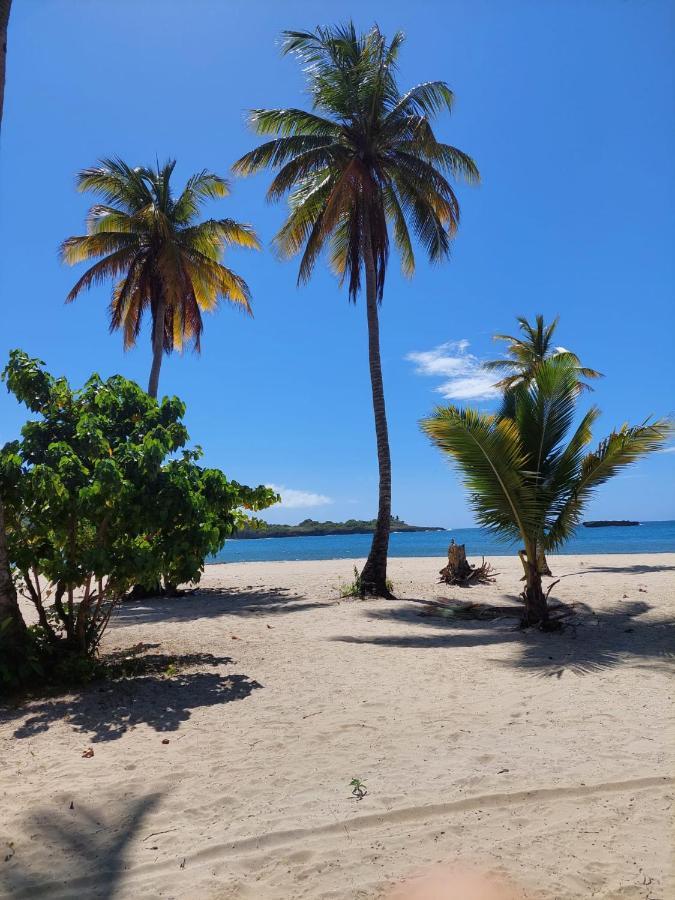 Cabana Playa Cambiaso Bed & Breakfast Puerto Plata Ngoại thất bức ảnh